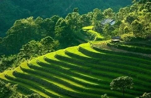 Hotspot Matrix và 4 kiểu áo sơ mi dìm dáng, xỉn da, điểm thanh lịch lao dốc thảm hại_trung tâm đào tạo video