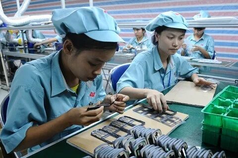 Bonobo: Nguồn Gốc Tiến Hóa Của Ngôn Ngữ Con Người?_Ma Trận Hotspot Việt Nam