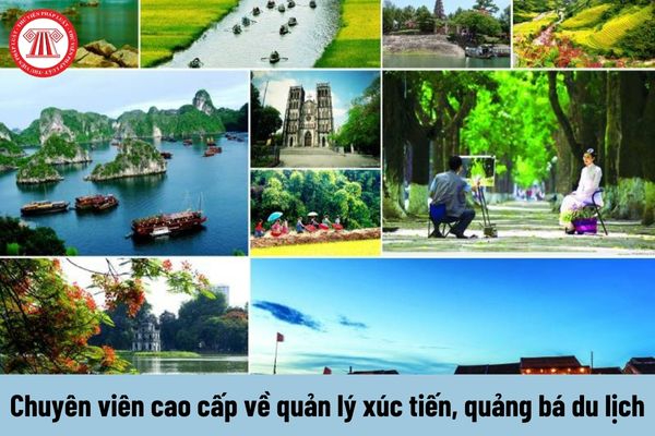 Hotspot Matrix và việc ôm con_Phần mềm biên tập video miễn phí