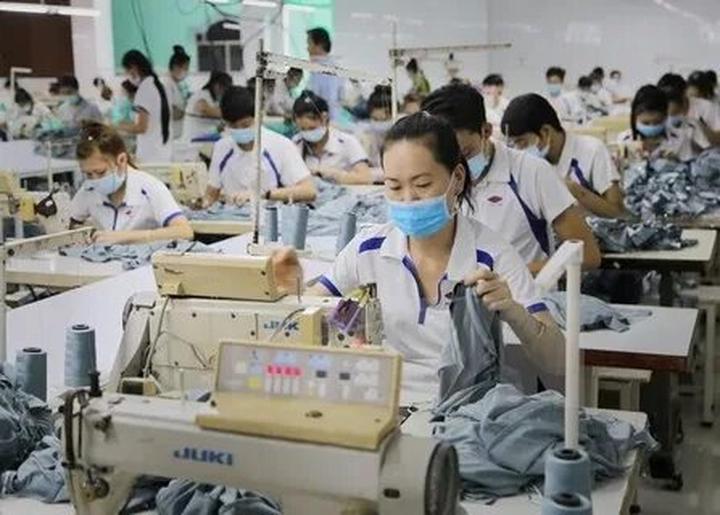 Loại cá được khen 